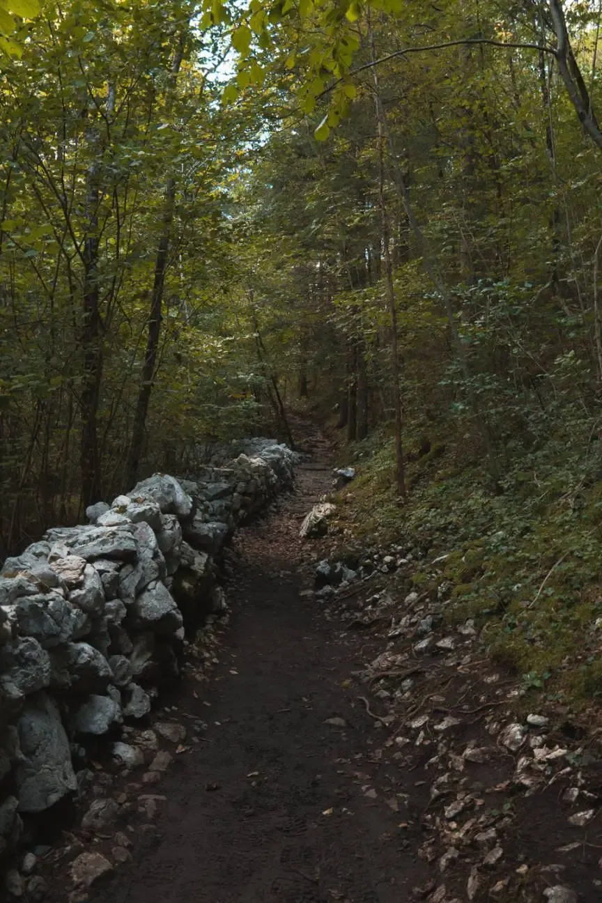 Slovenia photograph 36