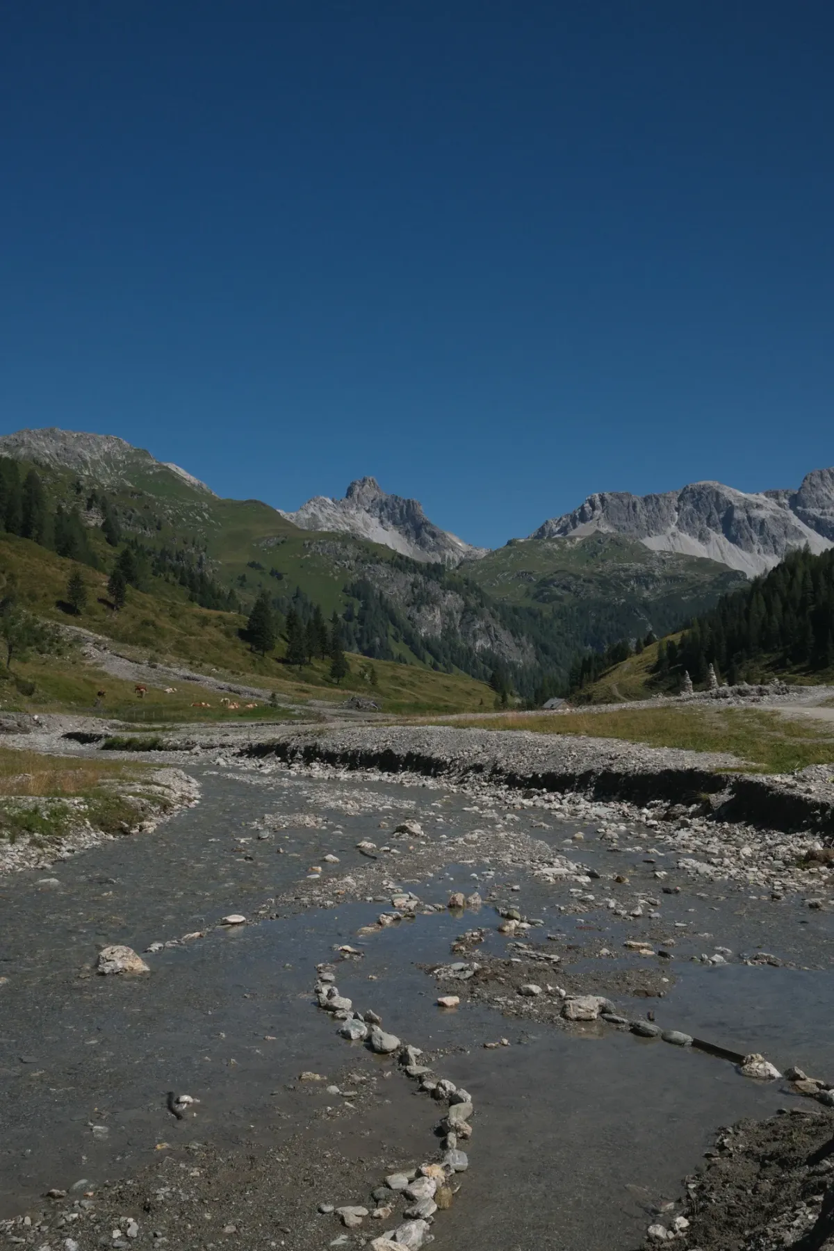Carinthia photograph 78