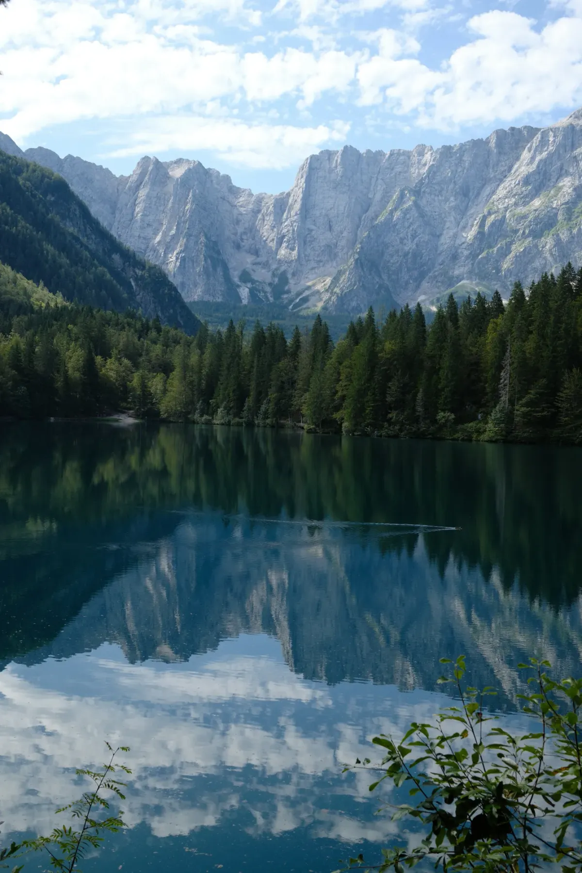 Carinthia photograph 24