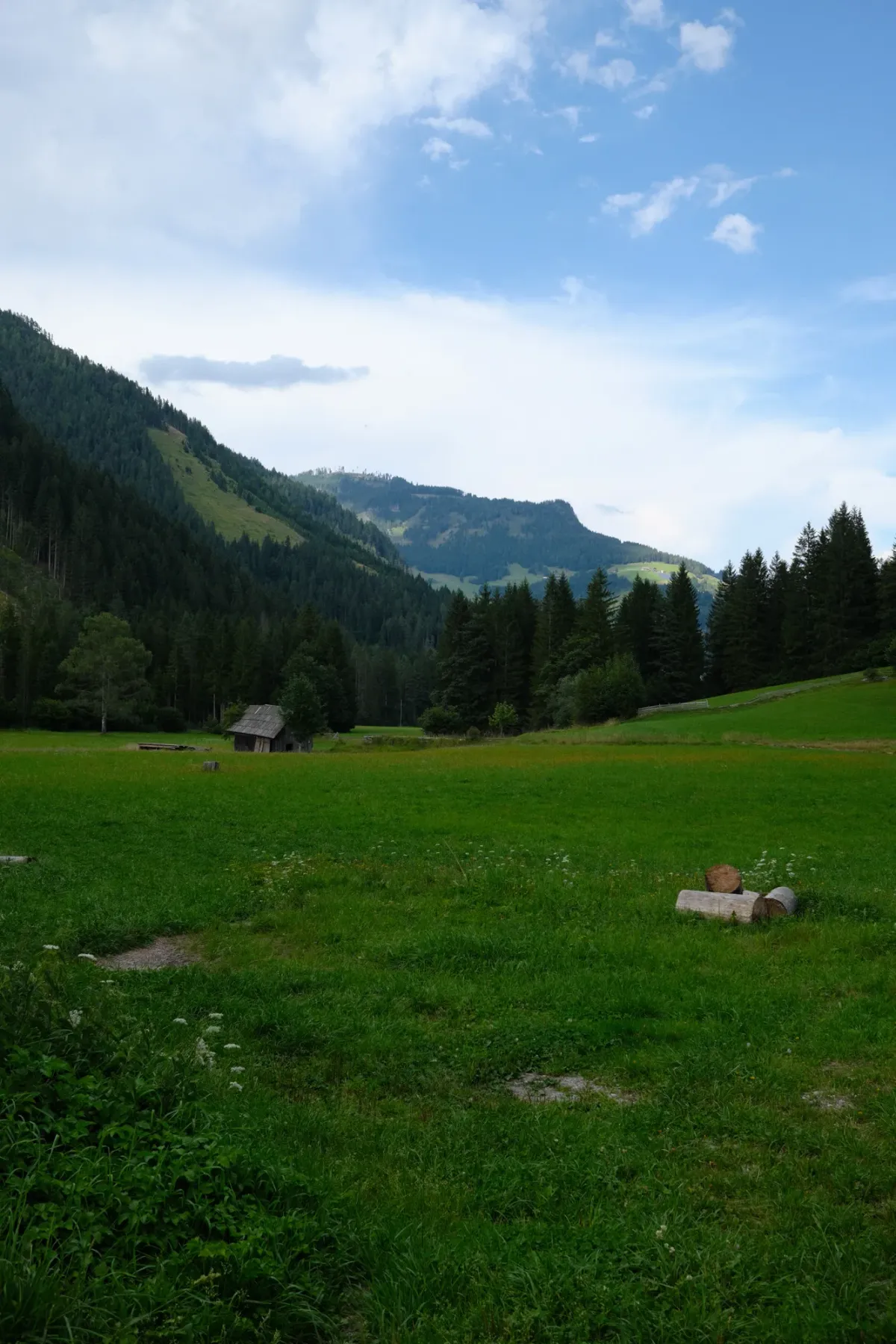 Carinthia photograph 28