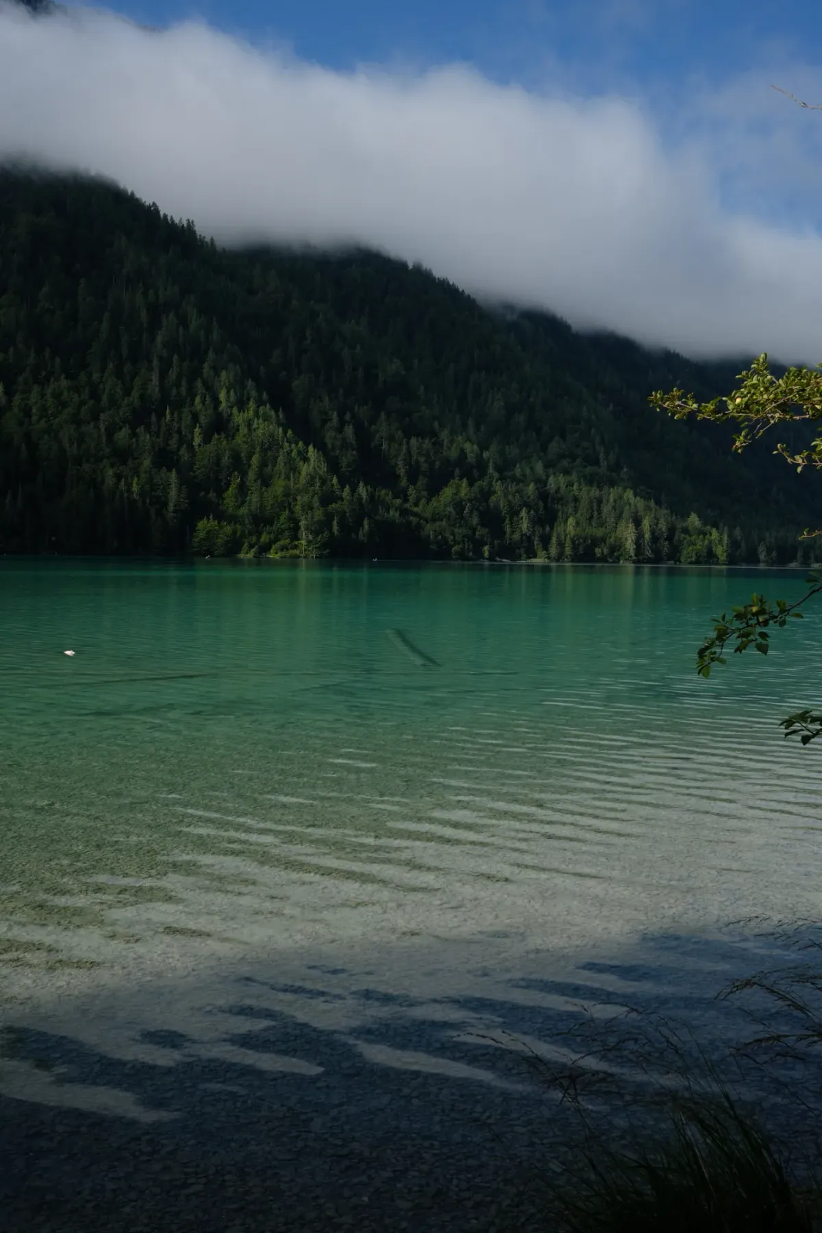 Carinthia photograph 37