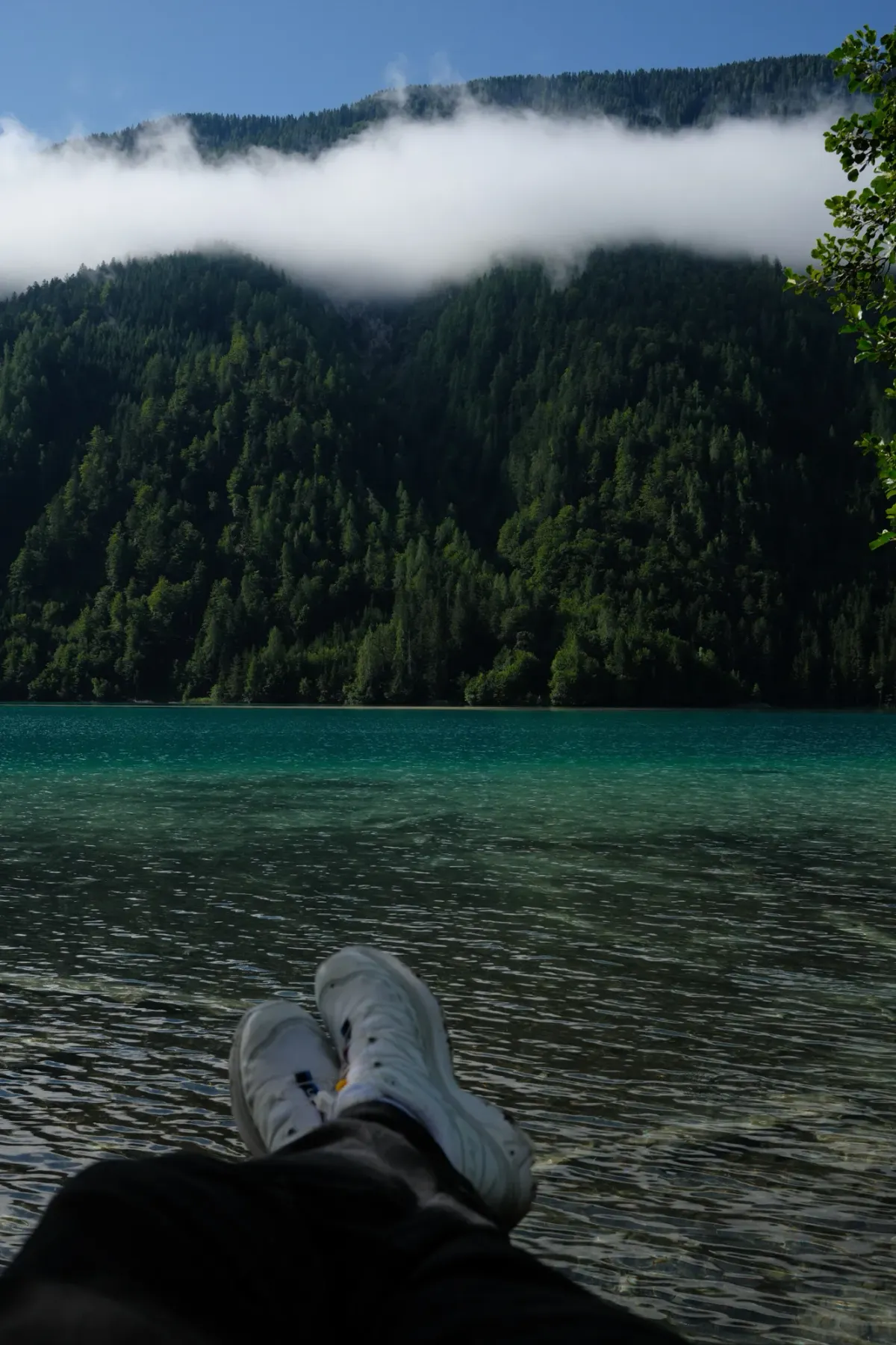Carinthia photograph 41