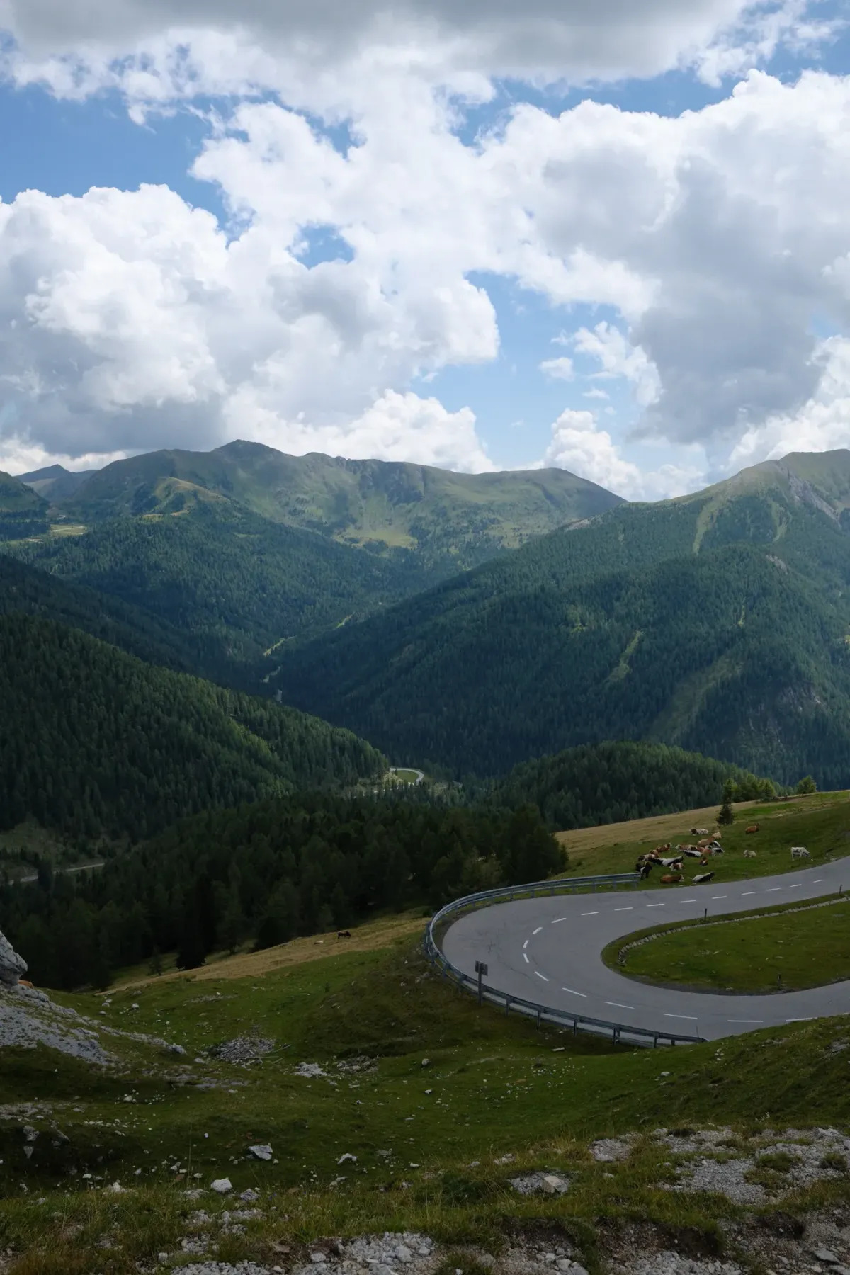 Carinthia photograph 48