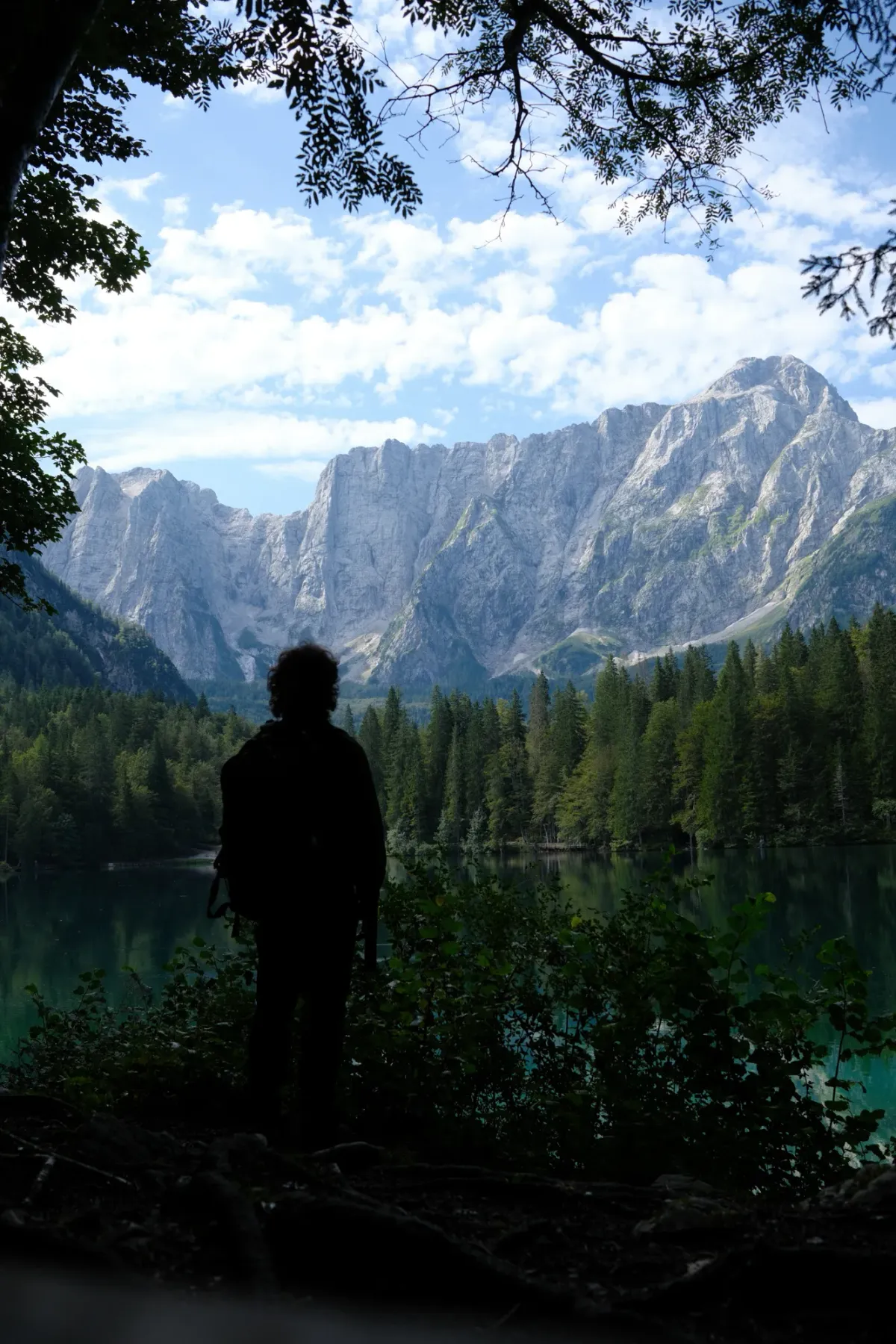 Carinthia photograph 23