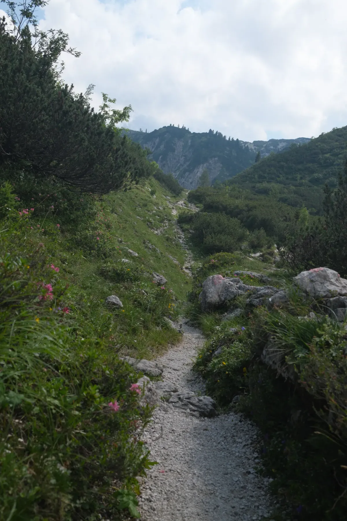 Salzkammergut photograph 59